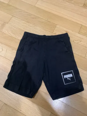 Short puma