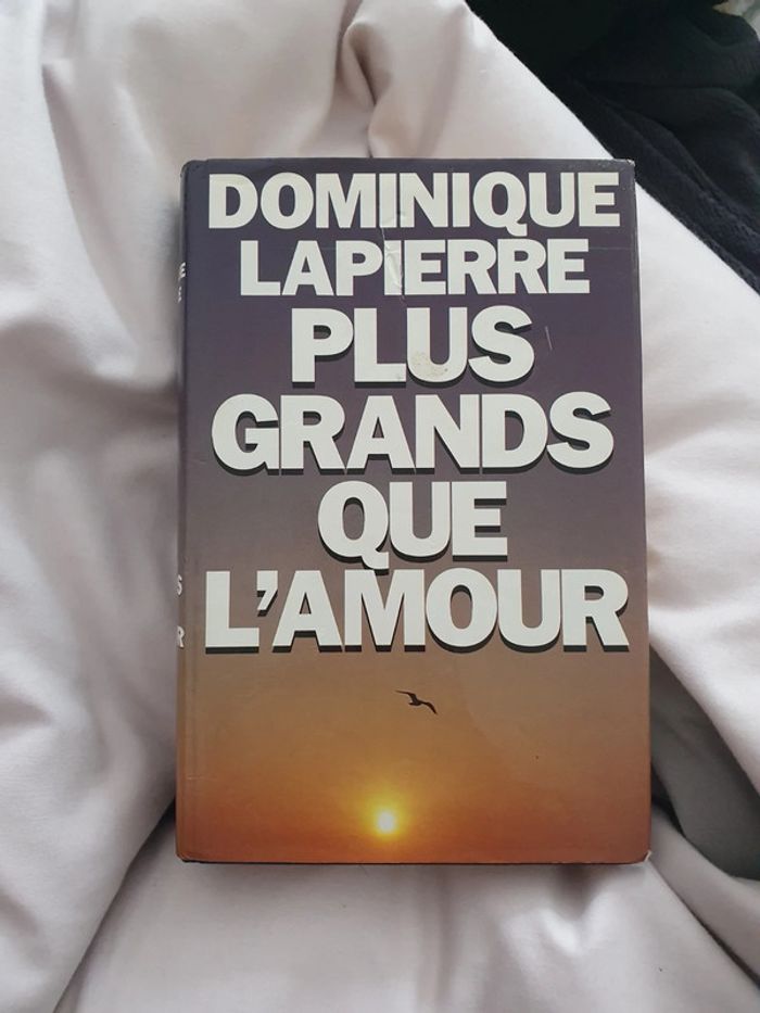 Plus grands que l'amour Dominique Lapierre