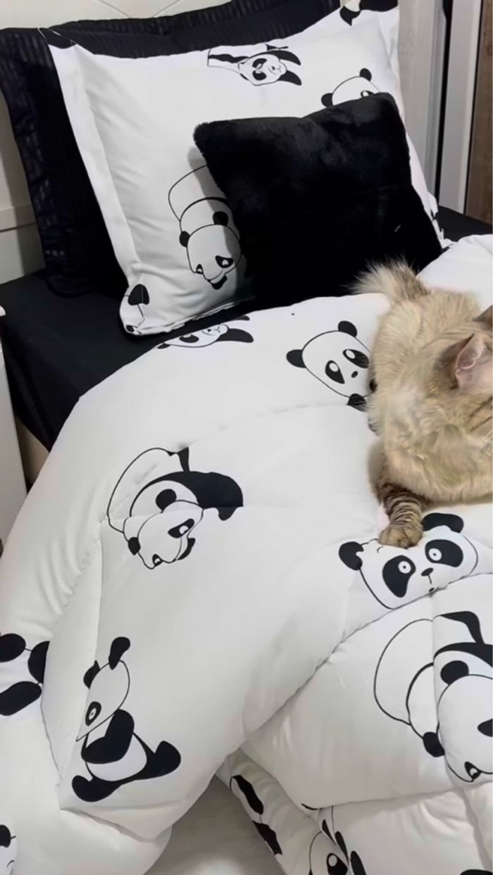 Les couettes une place tt neuf - photo numéro 8