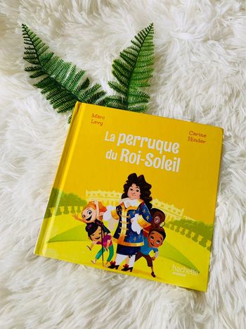 Livre mc do La perruque du Roi-Soleil