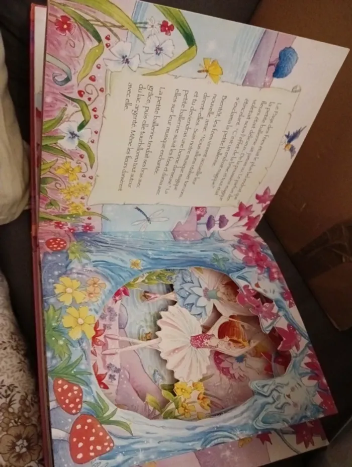 Livre "la ballerine et son rêve " - photo numéro 8