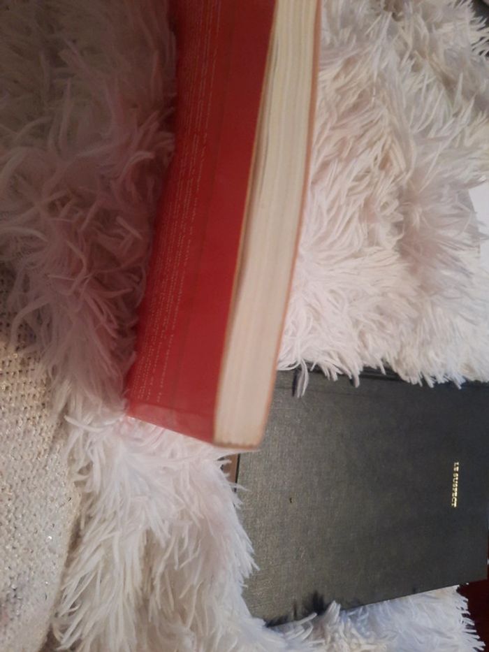 La maitrise de la langue à l'école - photo numéro 6