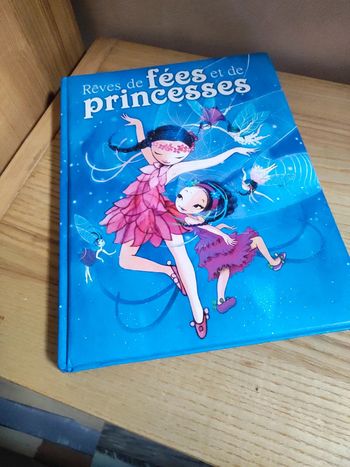 Livre rêves de fées et de princesses