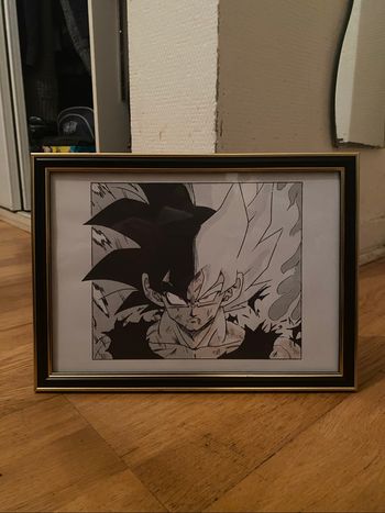 Cadre dragon ball