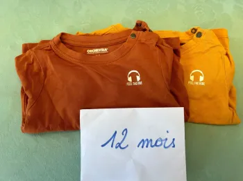 Lot de 2 tee-shirts manches longues Orchestra - 12 mois