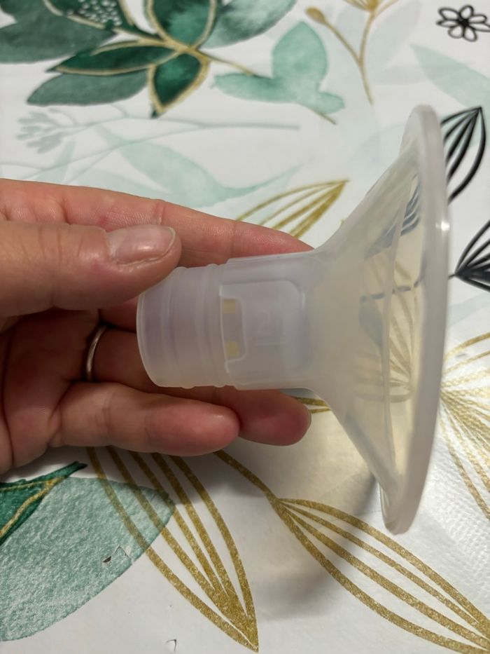 Perifit téterelle - photo numéro 2