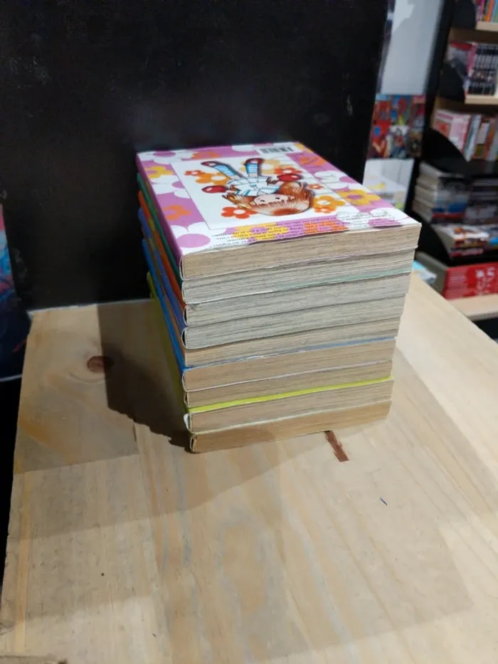 Trois sœurs jumelles – Tomes 1 à 9 - photo numéro 4