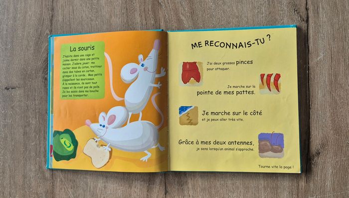Livre Les Trouvinettes Les incollables - photo numéro 4