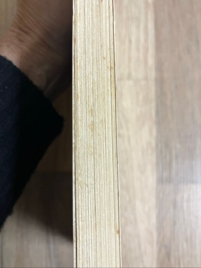 Livre-Aurélie-journal d’une OS - photo numéro 3