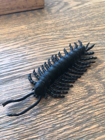 Jouet mille pattes scolopendre noir insecte
