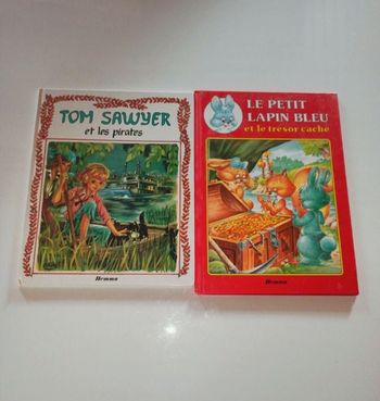 Lot de 2 livres vintage Tom Sawyer , le petit lapin bleu