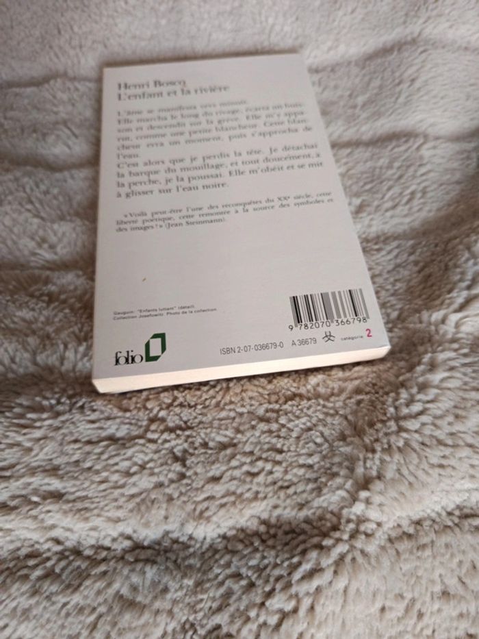 L'enfant et la rivière - photo numéro 4