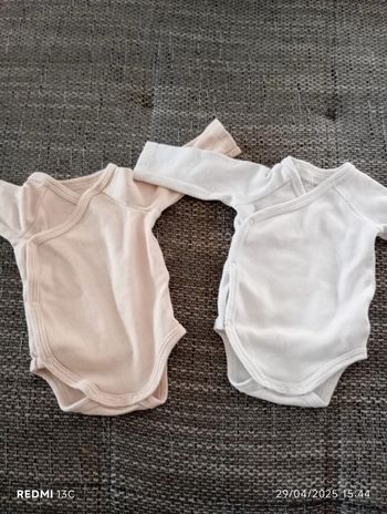 Lot 2 bodies