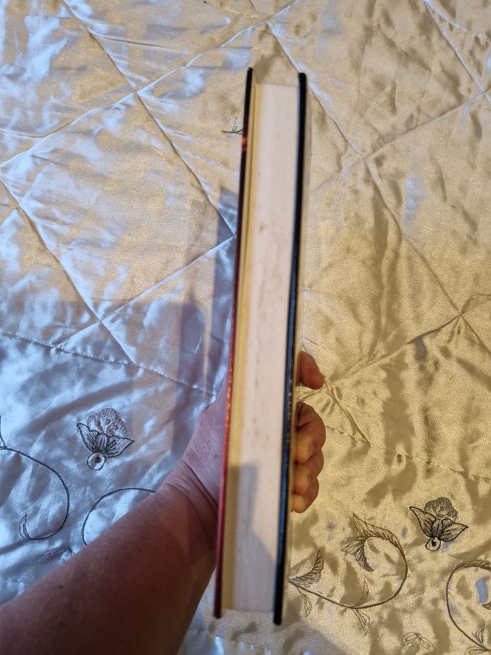 Le protocole compassionnel (autobiographie sida) - photo numéro 6