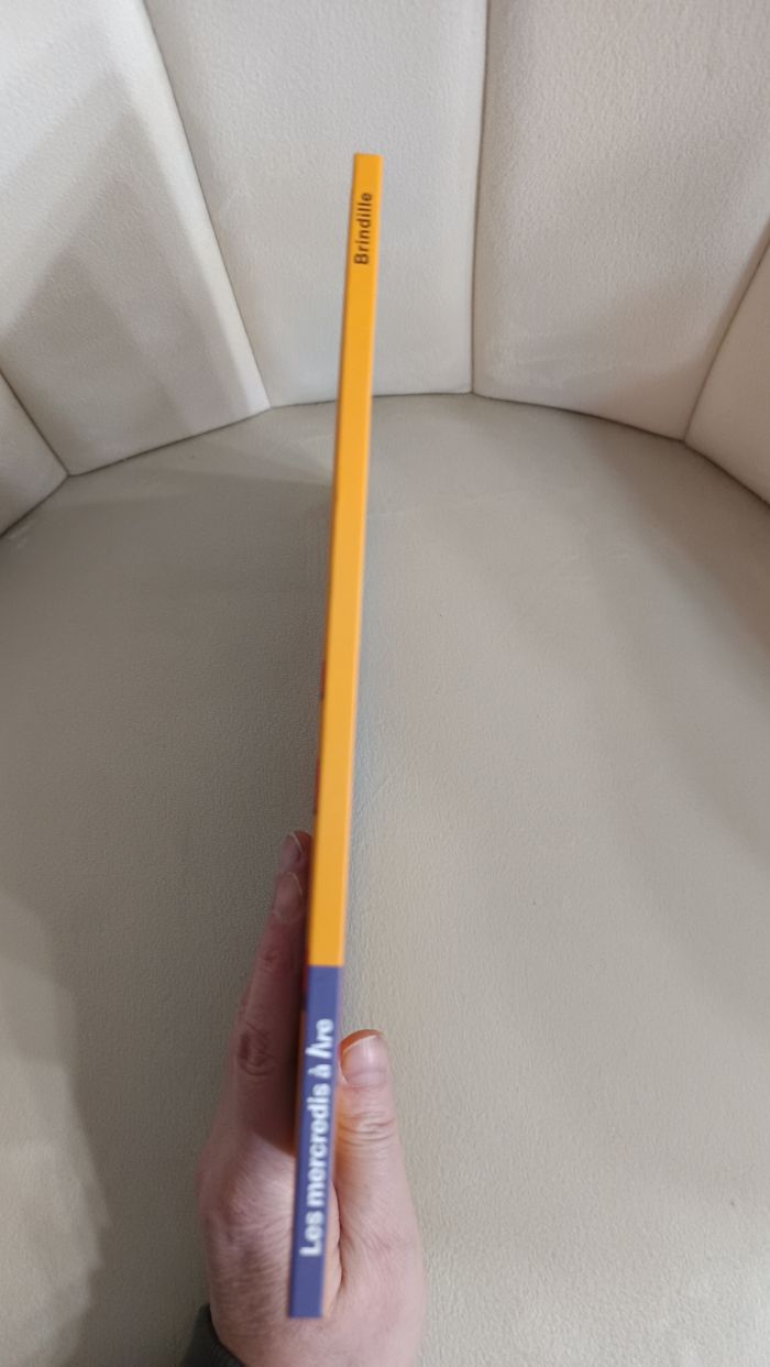 Livre " Brindille" - photo numéro 4