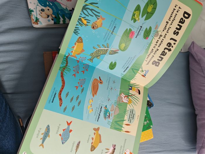 Dokeo des animaux - photo numéro 4