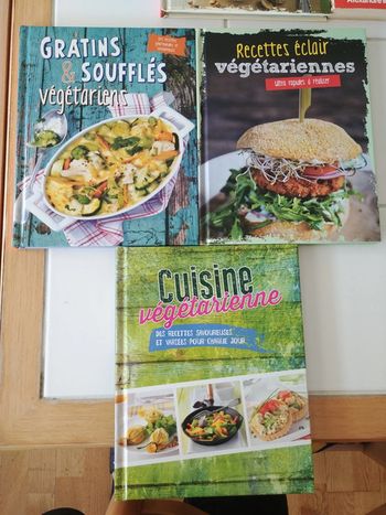 Lot livres recettes végétariennes
