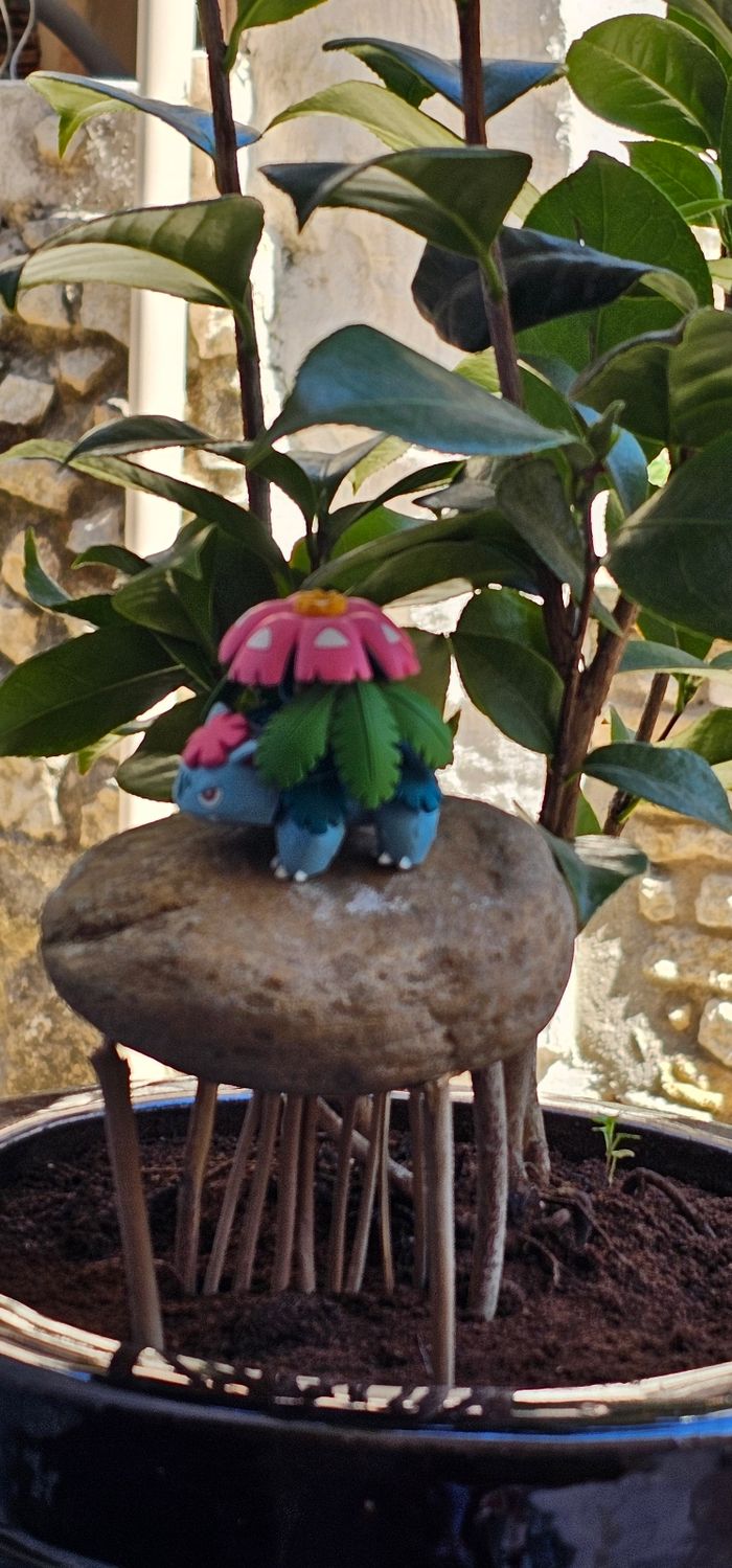 Super figurine Pokemon Nintendo tomy Mega-florizarre - photo numéro 3