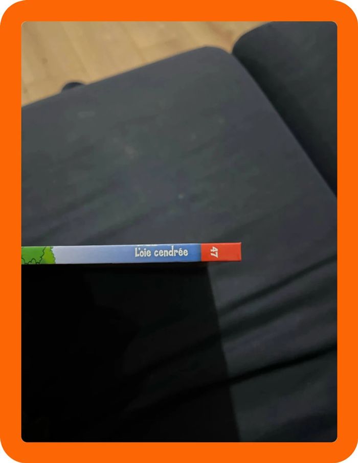 Livre l oie cendrée - photo numéro 2