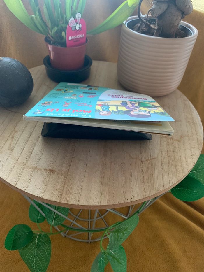 Livre Moi Je Lis Bienvenue sur Terre - photo numéro 4