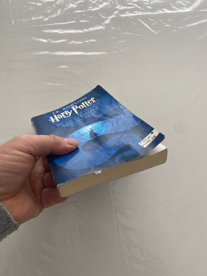 Harry Potter – Tome 2 : La Chambre des Secrets - photo numéro 5