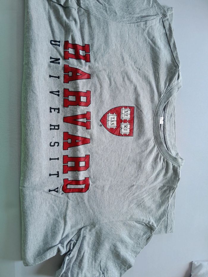 Tee shirt s