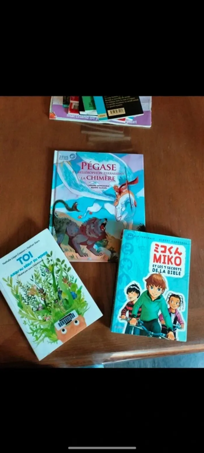 Lot de 14 livres et 1 jeu à partir de 7 ans - photo numéro 13
