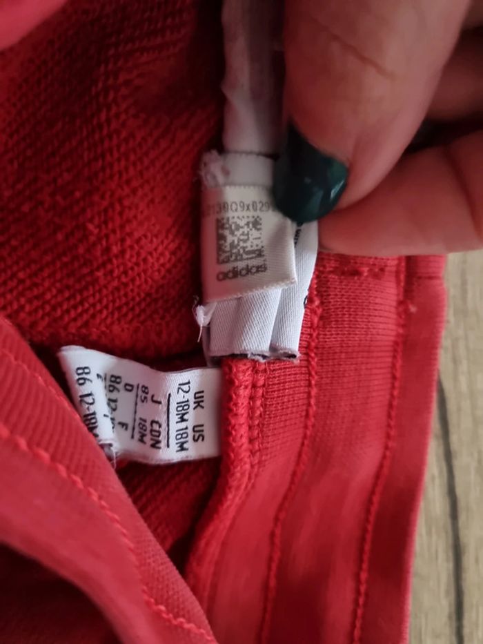 Pantalon jogging 12-18 m - photo numéro 5