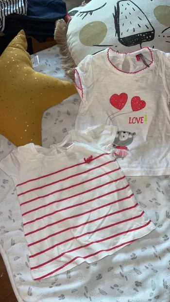 2 tee shirt 9 mois orchestra et Zara