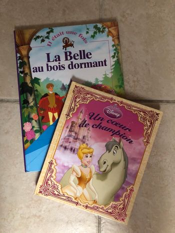 Lot de 2 livres en rapport avec les princesses
