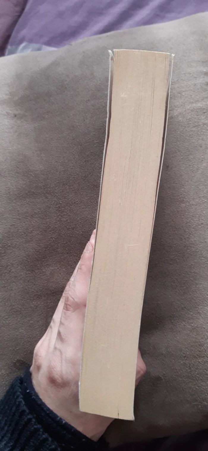 Les régulateurs - photo numéro 4