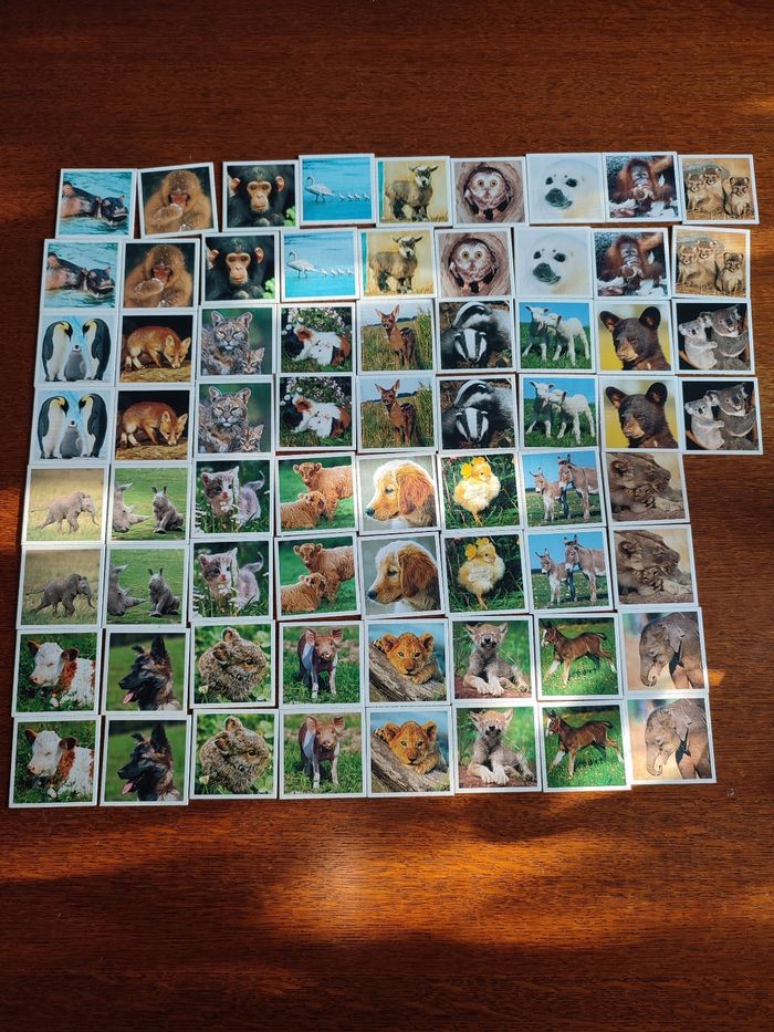 Cartes memory