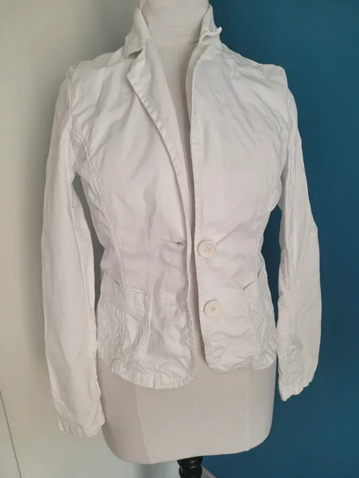 Veste cintrée