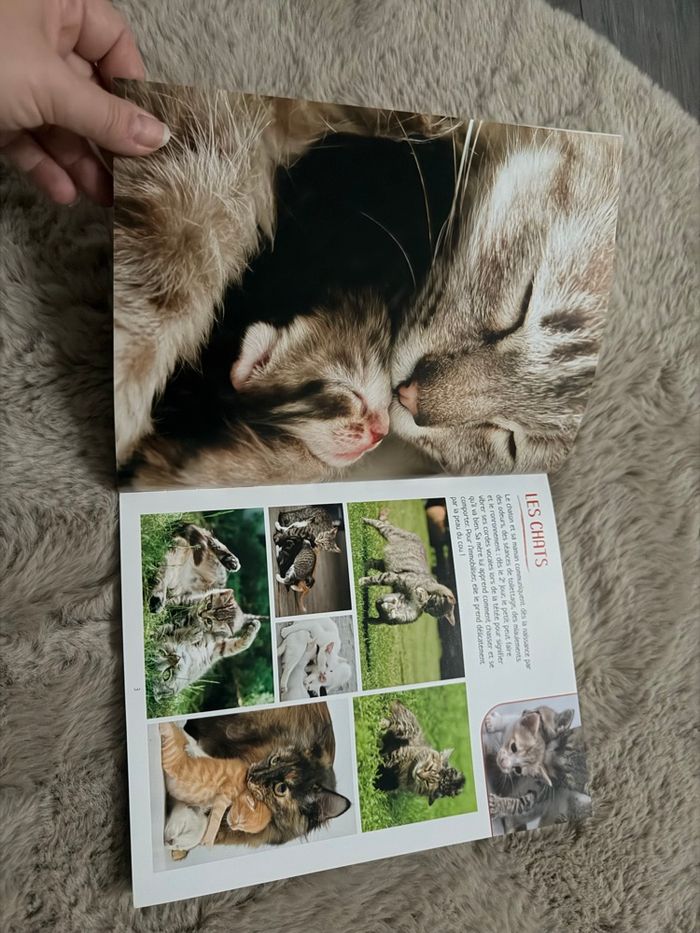 Livre les plus belle photos des bébés animaux - photo numéro 5