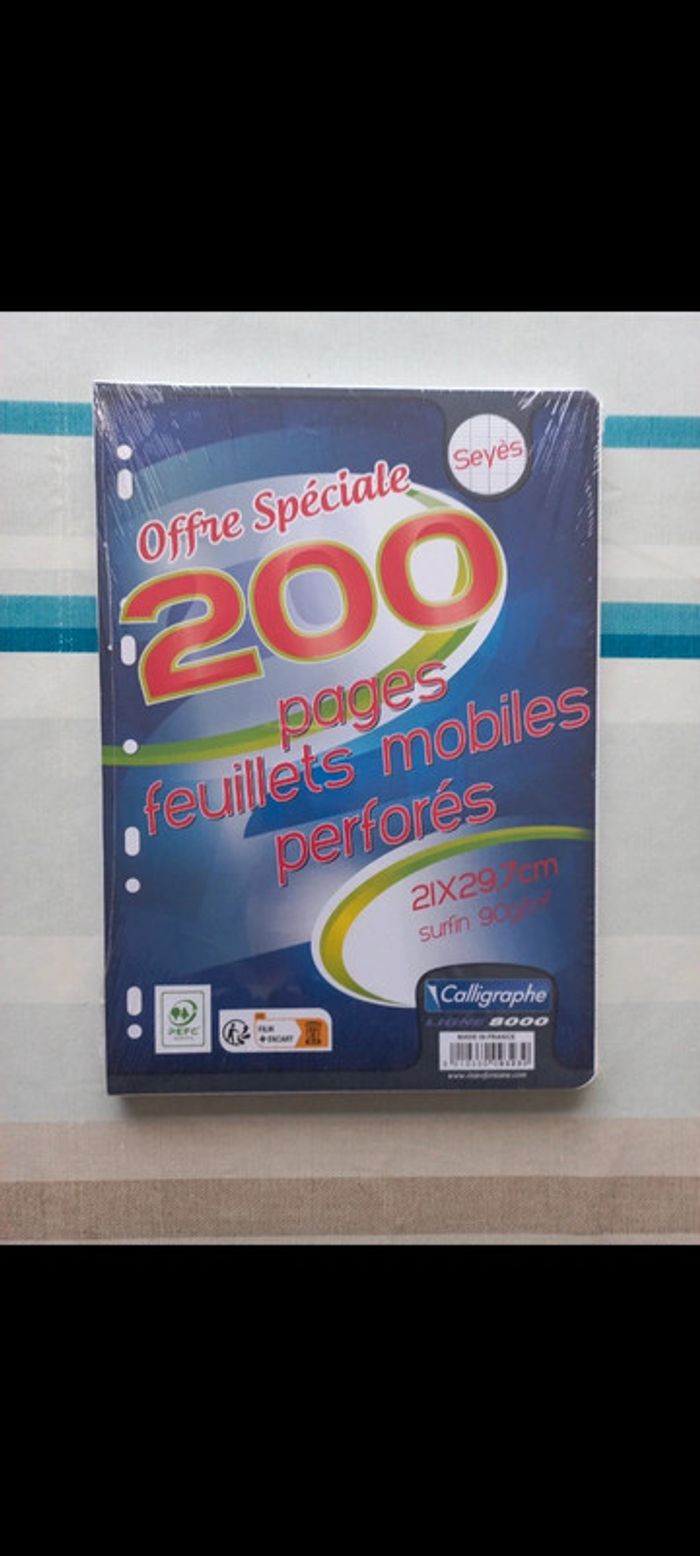 600 feuilles perforées pour classeur - photo numéro 2