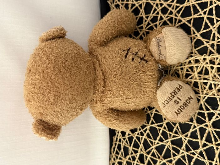 Peluche ours, Nobody's Perfect bukowski - photo numéro 3