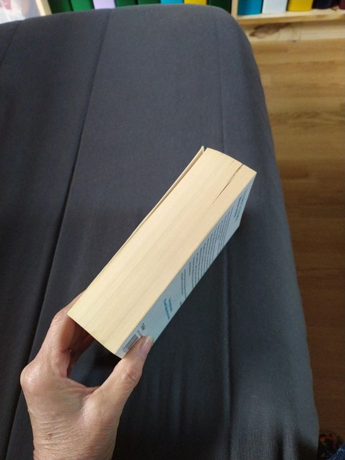 Mémoire infidèle d'Elizabeth George - photo numéro 5