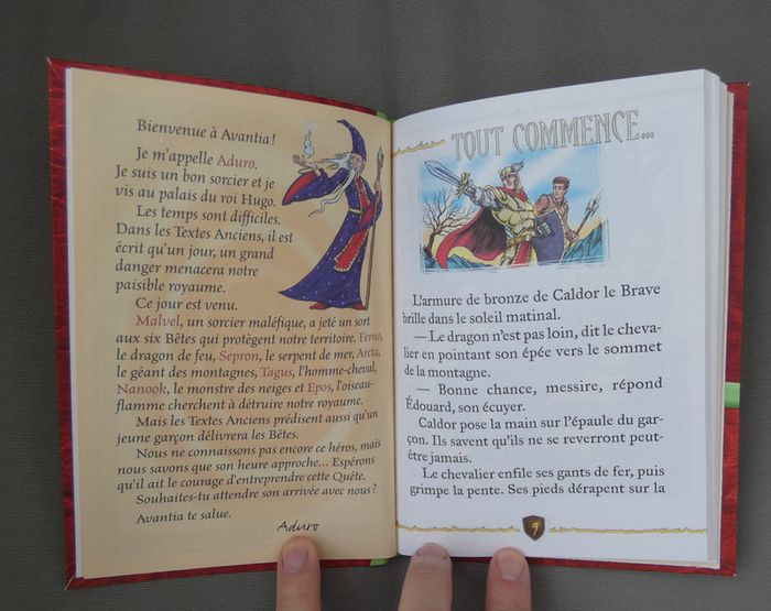 Livre d'aventures "Beast Quest : le dragon de feu" - photo numéro 4