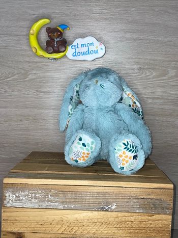 DIV494 doudou lapin 🐰 ostaria