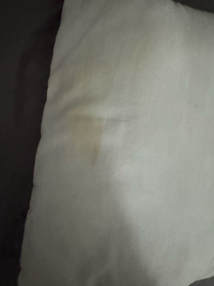 Coussin chat - photo numéro 2