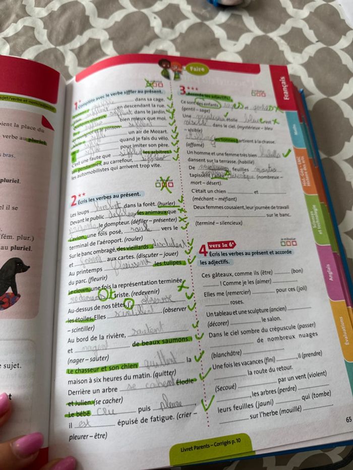 L année de CM2 bordas - photo numéro 4