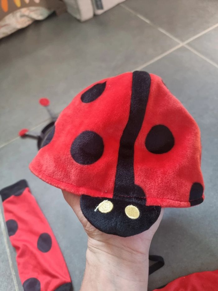 Déguisement de coccinelle - photo numéro 5