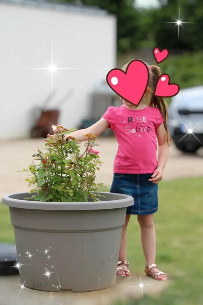 Lot de 2 t-shirts+ une jupe taille 5 ans. - photo numéro 6