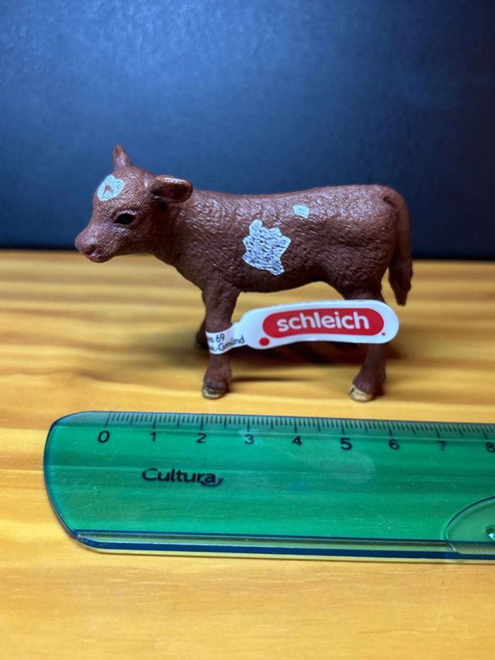 Veau texas longhorn - photo numéro 5