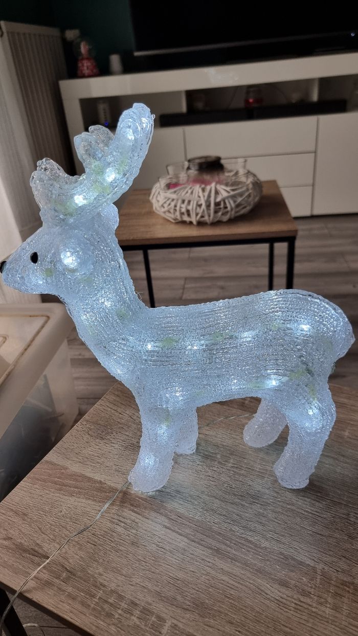 RENNE LUMINEUX - photo numéro 6