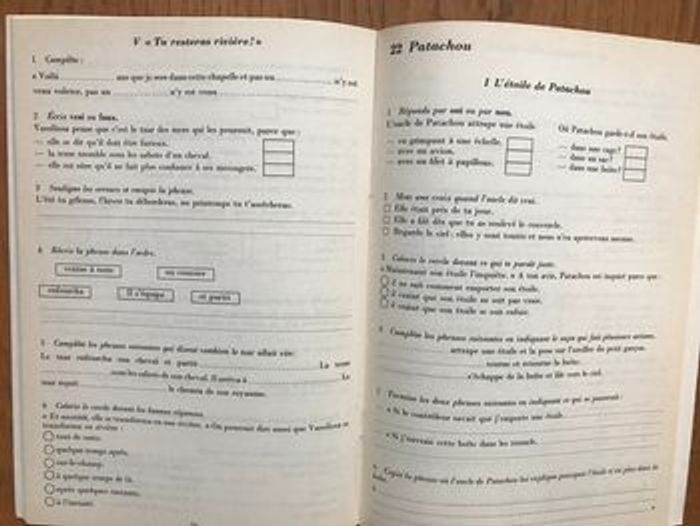 L’oiseau-lyre - fichier de lecture silencieuse CE tome 2 - photo numéro 2