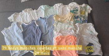 Lot de 14 bodys manches courtes et débardeur 24 mois