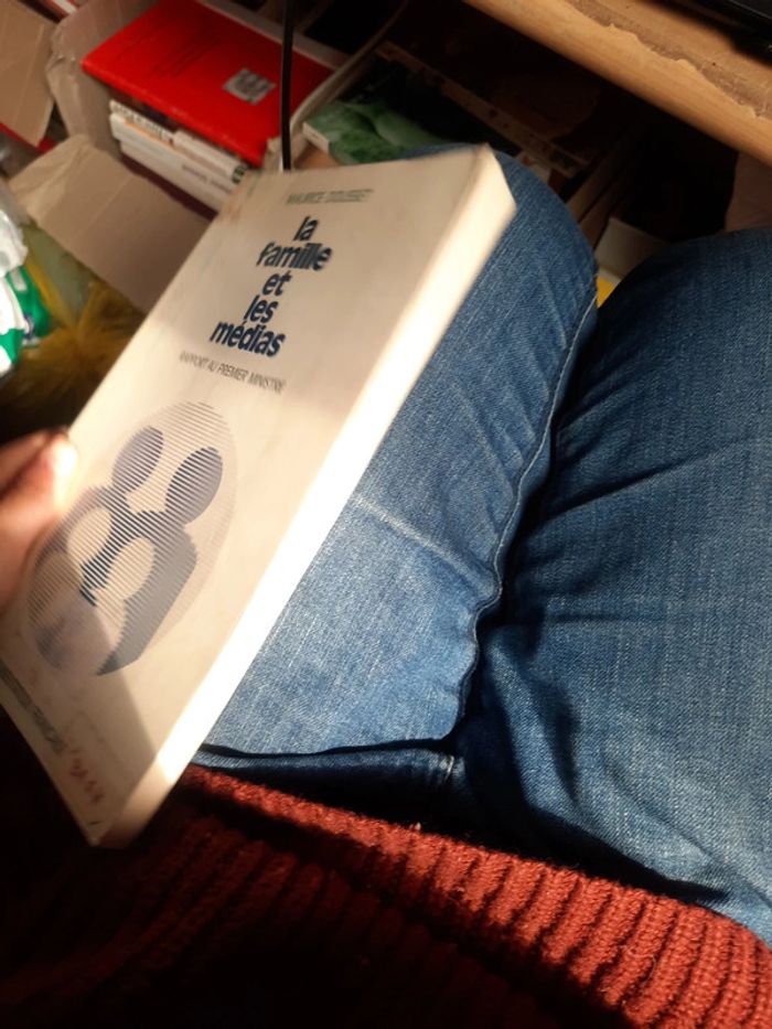 Livre la famille et les medias p o - photo numéro 4