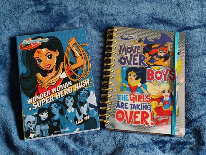 Lot livre et carnet