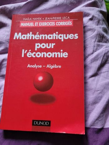 Mathématiques pour l economie analyse algebre